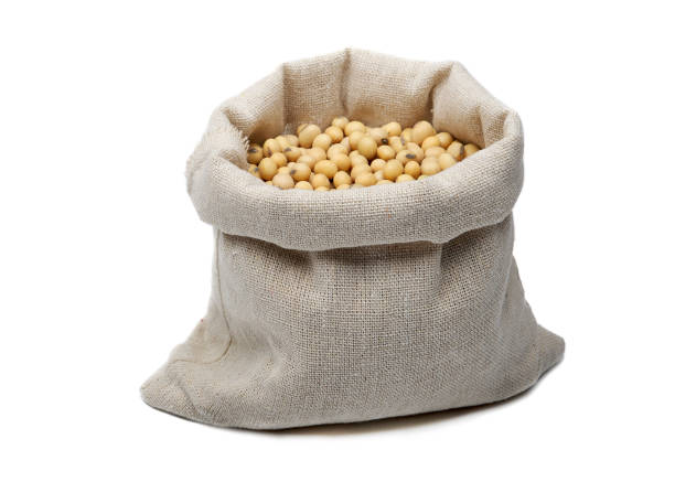 istock Soybeans in sack bag. 1161487558