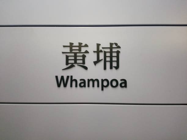 istock Whampoa station, Hong Kong, China 1161490789