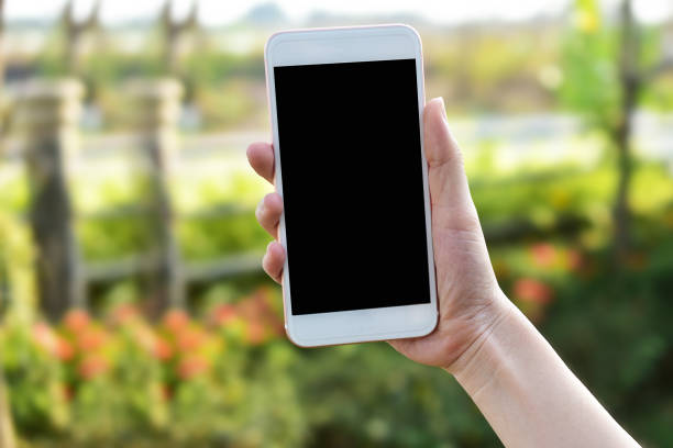 istock Hand holding Mobile Smart phone on Green Background 1161494476