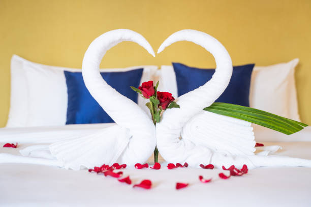 istock swan towel for honeymoon room 1161497864