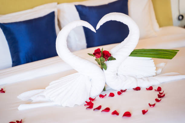 istock swan towel for honeymoon room 1161497881