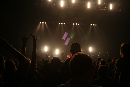 People having fun at a concert.