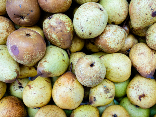 istock Fresh pear on the market. Background 1161499858