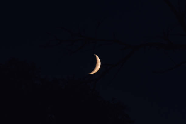 istock New moon the moon comes over the forest on a summer evening 1161501657