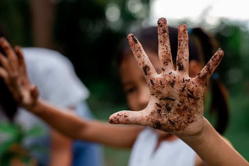 Asian child girl showing dirty hands after planting the tree in the garden