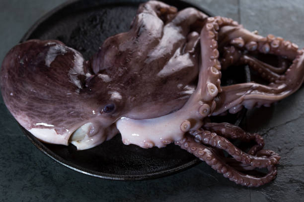 istock Whole fresh raw octopus on black plate. slate background 1161506977