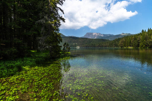 istock Montenegro, Black Lake in a Durmitor Park 1161518228
