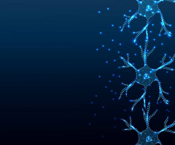 neuron, star, polygon, blue b-ground 6 4 mp Human nerve cell neuron, isolated with triangle, stars, dots. Low poly anatomy polygon design. Polygonal style illustration of neuron, medical design, study or concept, symbol, scientific background neuron axon stock illustrations