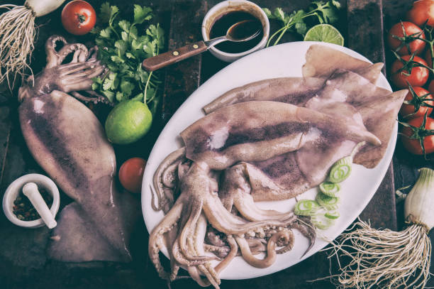 istock Raw squid calamary on white plate with ingredients for cooking korean BBQ squid. Top view 1161519254