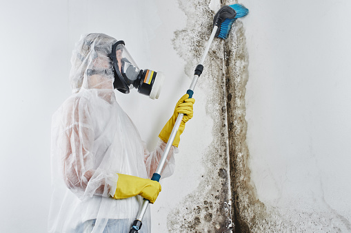 Un desinfectante profesional en monos procesa las paredes a partir de moho con un cepillo. Eliminación de hongos negros en el apartamento y la casa. Aspergillus. N photo