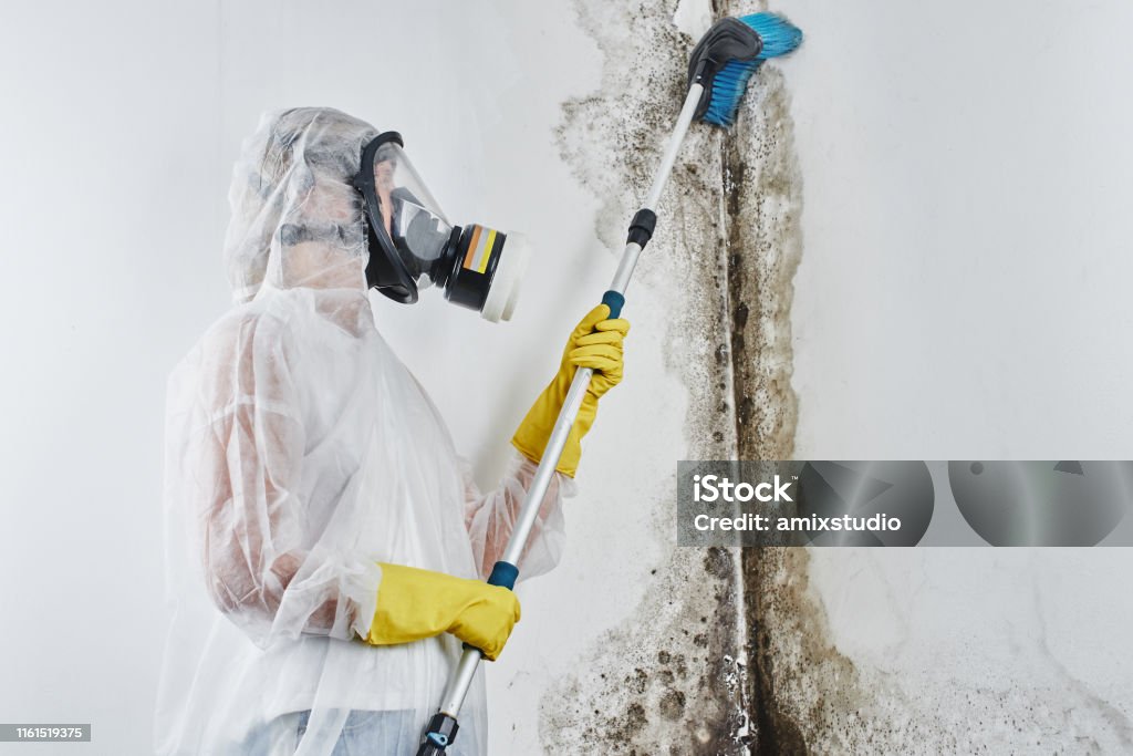 A professional disinfector in overalls processes the walls from mold with a brush. Removal of black fungus in the apartment and house. Aspergillus."n Fungal Mold Stock Photo