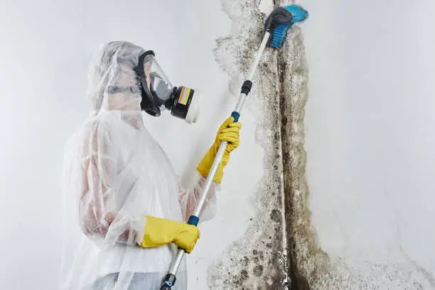 Photo of A professional disinfector in overalls processes the walls from mold with a brush. Removal of black fungus in the apartment and house. Aspergillus.