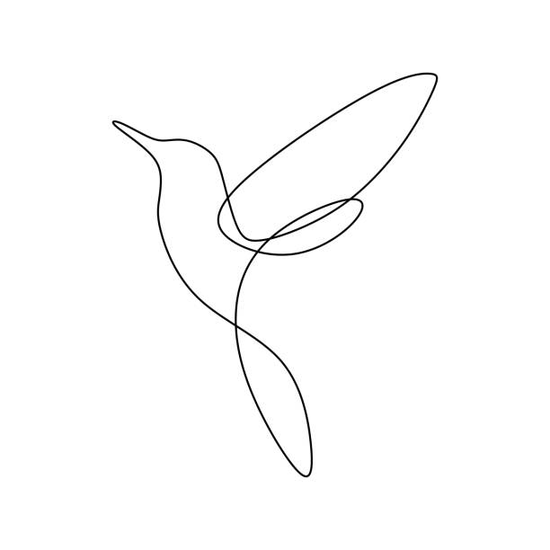 ilustraciones, imágenes clip art, dibujos animados e iconos de stock de pájaro línea continua dibujo vectorial ilustración diseño minimalista bueno para la marca del logotipo y cartel abstracto del minimalismo - colibrí