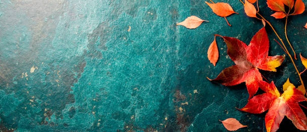 Autumn background with colored red leaves on blue slate background. Top view, copy space stock photo