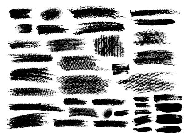 Set of brush strokes hand drawn vector illustration. Isolated on white background. Set of brush strokes hand drawn vector illustration. Isolated on white background. animal brush stock illustrations