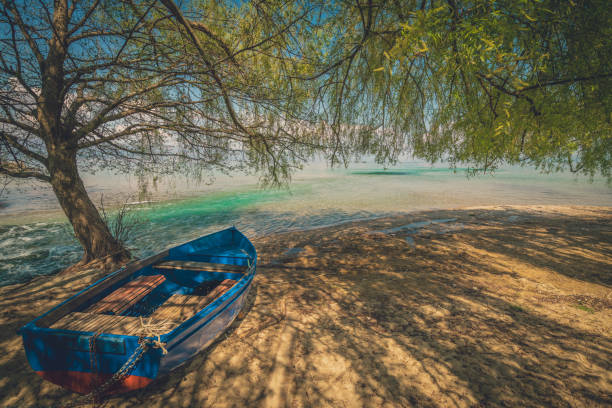 Old blue wooden boat under huge tree on the shore of Lake Ohrid in Sveti Naum, Republic of Macedonia