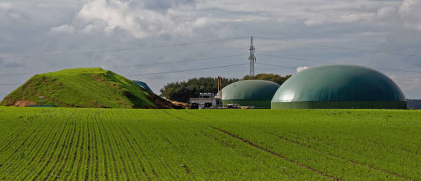 biomass plant in landscape