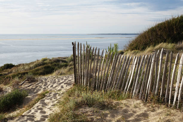 istock Sand dunes of Pilat 1161525561