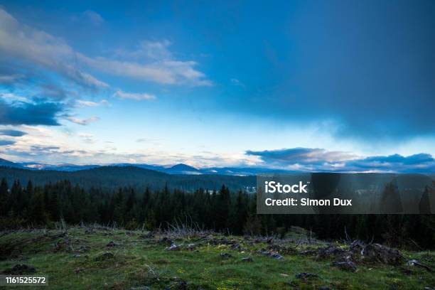 Montenegro Endless Green Conifer Trees Covering Highlands Of Durmitor National Park Near Zabljak On Mountain Curevac Apline Nature Landscape After Sunset In Twilight Stock Photo - Download Image Now