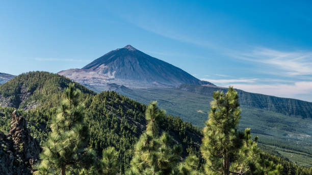 der blick auf den vulkan teide, pinienwald - pico de teide stock-fotos und bilder