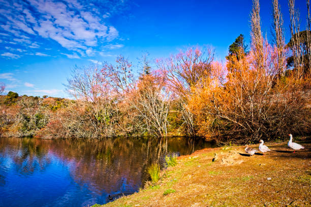Sunny winters day at Lake Daylesford in tourist town of Daylesford in Victoria.