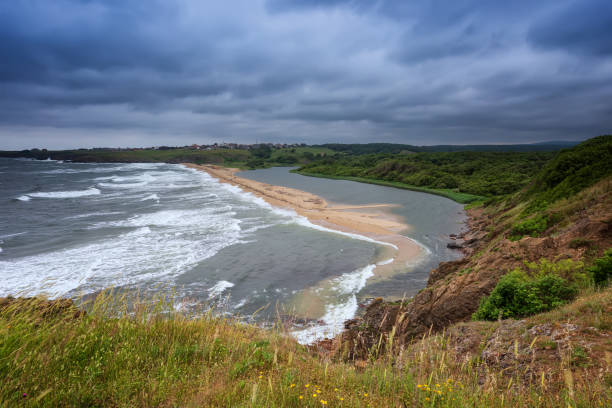 istock Wild beach in the morning 1161532236