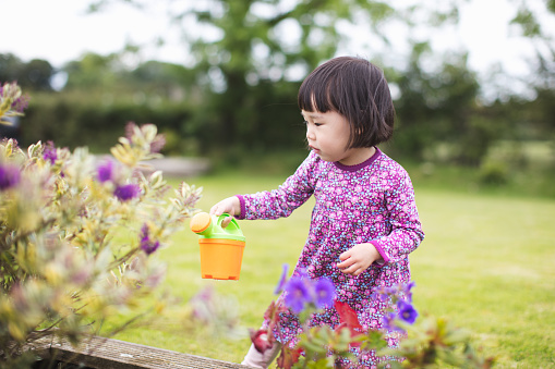 toddler girl prepend playing gardening at countryside home garden