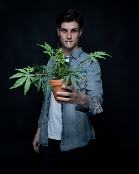 istock Close up view of man with marijuana plant 1161532408