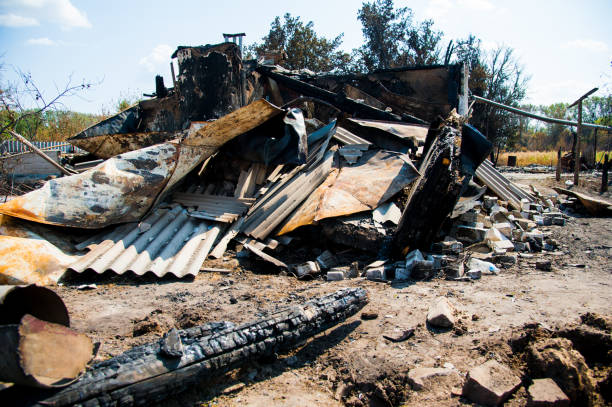 istock Ruins of house after fire 1161532543