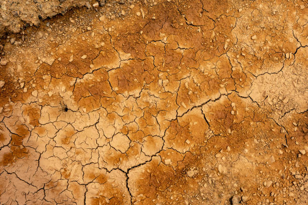istock Cracked Dry Clay Ground Background and Texture 1161534686