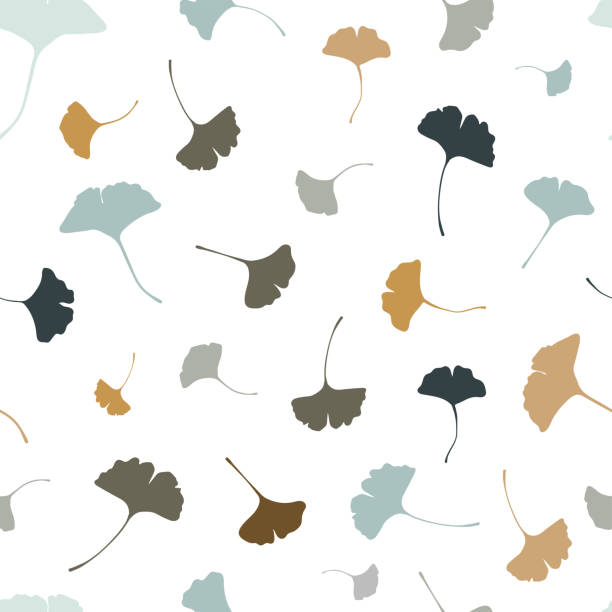 schöne ginkgo blätter nahtlose muster, natürliche blau und beige herbst hintergrund - ideal für mode-drucke, gesundheit und schönheit produkte, tapeten, kulissen, banner - vektor-oberflächen-design - ginkgo ginkgo tree chinese medicine healthcare and medicine stock-grafiken, -clipart, -cartoons und -symbole