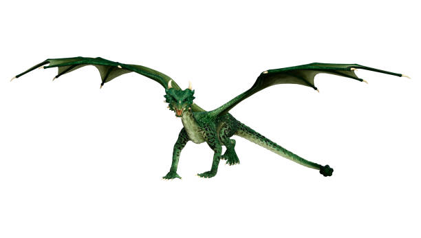 istock 3D illustration fantasy dragon on white 1161544268