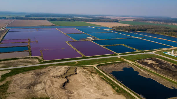 istock Aerial view on the pink salt lake 1161548217