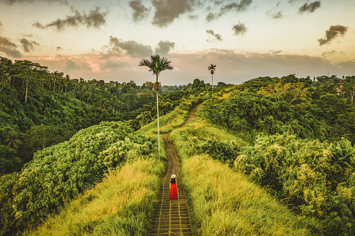 Young beautiful woman walking on Campuhan Ridge way of artists, in Bali, Ubud. Beautiful calm sunny morning. Photo of Fashionable girl walking while wearing red dress.