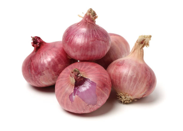 istock Small red onion on for boarding.Much pommels 1161552971