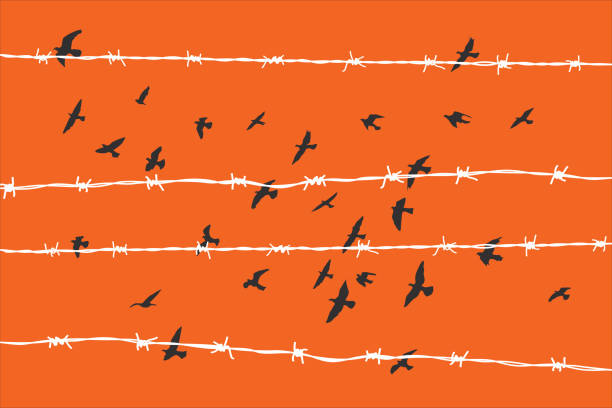 vögel fliegen über gebrochenen stacheldraht - barbed wire wire war prison stock-grafiken, -clipart, -cartoons und -symbole