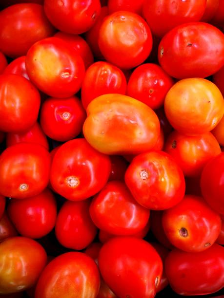 istock A pile of fresh tomatoes 1161555514