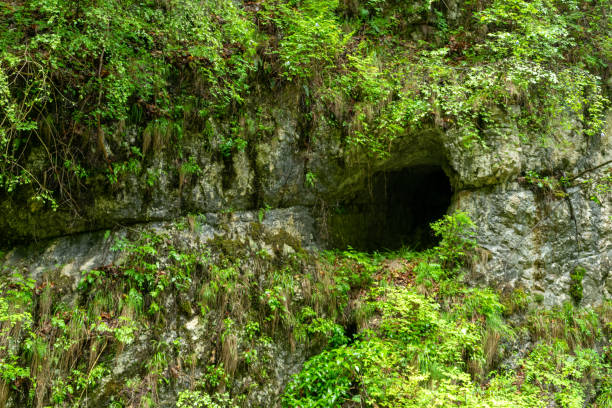istock View of cave entrance, Carpathian mountain range 1161561272