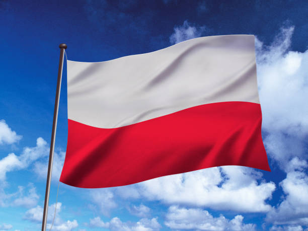 istock poland flag fluttering in the wind,3D illustration 1161561488