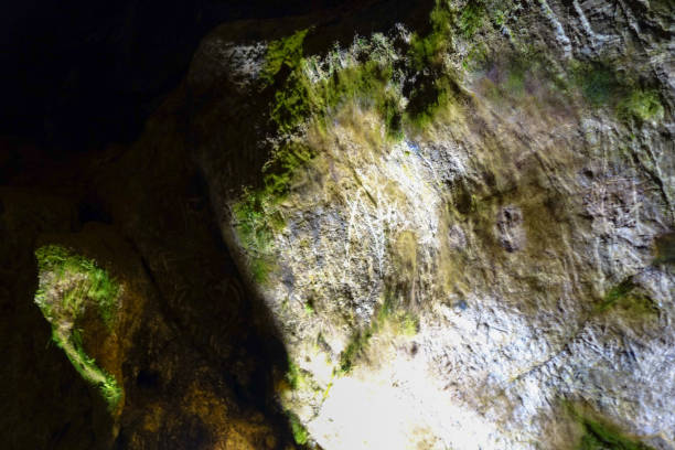 istock Inside Ialomitei cave, Bucegi mountains, Romania, Bucegi National Park 1161566305