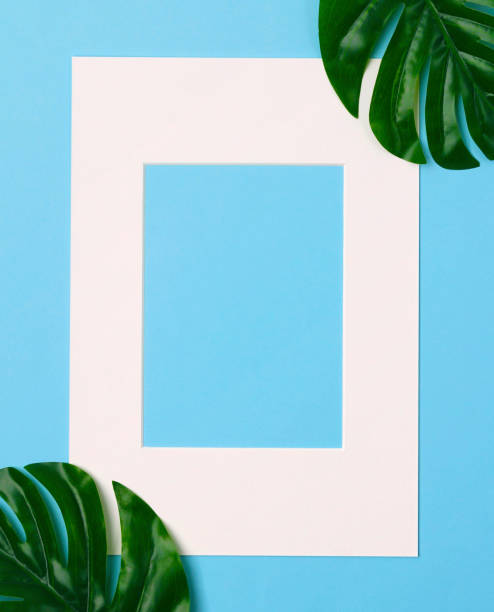 istock Tropical palm leaves in blank paper frame on blue background. 1161566381