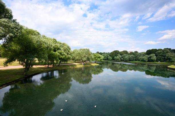 istock Trees and blue sky are reflected on the lake 1161569778