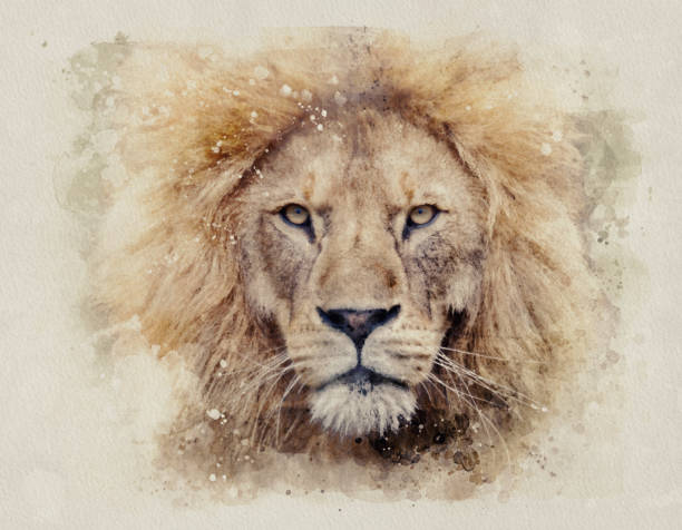 colpo alla testa di leone maschio africano che guarda nella pittura ad acquerello della fotocamera - lion africa undomesticated cat portrait foto e immagini stock