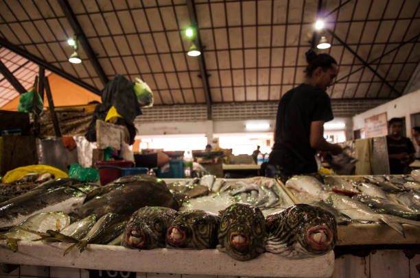 On the island of Borneo, freshly caught seafood is sold in the market. Tawau, Sabah/ Malasia -19/October/2018: On the island of Borneo, freshly caught seafood is sold in the market. sawmill gravy stock pictures, royalty-free photos & images