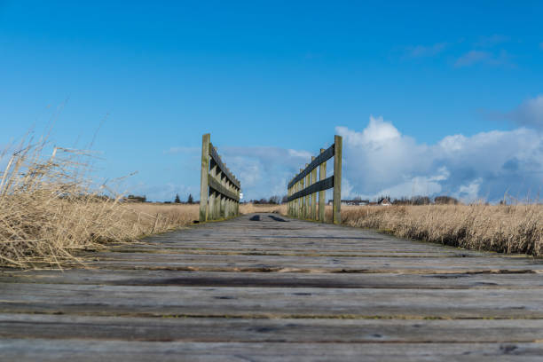 istock wooden pier North Sea 1161574826