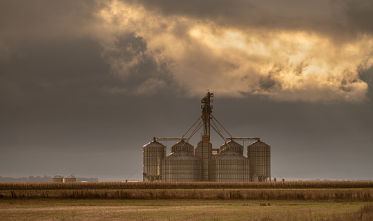 Silos and corn plantation in the pampas