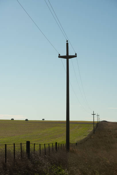 istock Poles crossing the farm 1161576458