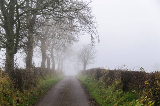 istock Foggy/misty country road with low visibility. 1161577337