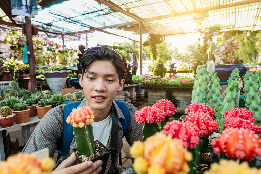 Young Asian traveller man  enjoying selling cactus and other plants at traditional street market, Khonkaen city, Thailand