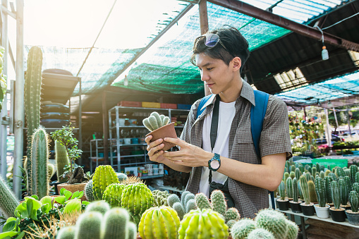 Young Asian traveller man  enjoying selling cactus and other plants at traditional street market, Khonkaen city, Thailand